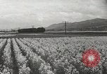 Standbild der Bürger öffentliche Halle Präfektur Fukuoka Kyushu Island Japan, 1950, aus Sekunde 5 historischem Filmmaterial Videoclip 65675067534