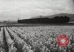 Standbild der Bürger öffentliche Halle Präfektur Fukuoka Kyushu Island Japan, 1950, aus Sekunde 9 historischem Filmmaterial Videoclip 65675067534