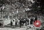 Standbild der Bürger öffentliche Halle Präfektur Fukuoka Kyushu Island Japan, 1950, aus Sekunde 29 historischem Filmmaterial Videoclip 65675067534