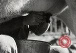 Standbild der Bürger öffentliche Halle Präfektur Fukuoka Kyushu Island Japan, 1950, aus Sekunde 30 historischem Filmmaterial Videoclip 65675067534