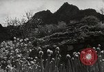 Standbild der Bürger öffentliche Halle Shodoshima Insel Japan, 1950, aus Sekunde 17 historischem Filmmaterial Videoclip 65675067535