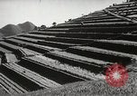 Standbild der Bürger öffentliche Halle Shodoshima Insel Japan, 1950, aus Sekunde 39 historischem Filmmaterial Videoclip 65675067535