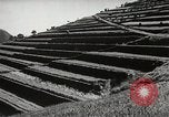 Standbild der Bürger öffentliche Halle Shodoshima Insel Japan, 1950, aus Sekunde 41 historischem Filmmaterial Videoclip 65675067535