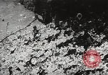 Standbild der Bürger öffentliche Halle Shodoshima Insel Japan, 1950, aus Sekunde 60 historischem Filmmaterial Videoclip 65675067536