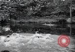 Image of activities of a family United States USA, 1951, second 3 stock footage video 65675067540