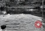 Image of activities of a family United States USA, 1951, second 5 stock footage video 65675067540