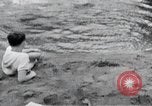 Image of activities of a family United States USA, 1951, second 6 stock footage video 65675067540