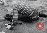 Image of activities of a family United States USA, 1951, second 21 stock footage video 65675067540