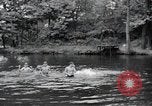 Image of activities of a family United States USA, 1951, second 29 stock footage video 65675067540