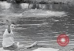 Image of activities of a family United States USA, 1951, second 40 stock footage video 65675067540