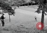 Image of activities of a family United States USA, 1951, second 46 stock footage video 65675067540