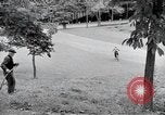 Image of activities of a family United States USA, 1951, second 47 stock footage video 65675067540