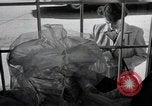 Standbild Aktivitäten einer Familie United States USA, 1951, aus Sekunde 47 historischem Filmmaterial Videoclip 65675067541