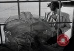 Standbild Aktivitäten einer Familie United States USA, 1951, aus Sekunde 48 historischem Filmmaterial Videoclip 65675067541