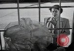 Standbild Aktivitäten einer Familie United States USA, 1951, aus Sekunde 61 historischem Filmmaterial Videoclip 65675067541