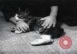Standbild öffentlichen Film Produktion Japan, 1951, aus Sekunde 49 historischem Filmmaterial Videoclip 65675067542