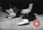 Standbild öffentlichen Film Produktion Japan, 1951, aus Sekunde 51 historischem Filmmaterial Videoclip 65675067542
