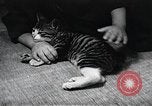 Standbild öffentlichen Film Produktion Japan, 1951, aus Sekunde 52 historischem Filmmaterial Videoclip 65675067542