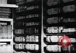 Image of public film production Japan, 1951, second 10 stock footage video 65675067543