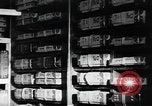 Image of public film production Japan, 1951, second 11 stock footage video 65675067543