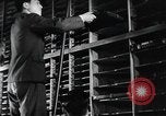 Image of public film production Japan, 1951, second 16 stock footage video 65675067544