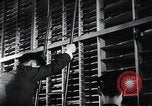 Image of public film production Japan, 1951, second 19 stock footage video 65675067544