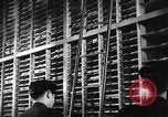 Image of public film production Japan, 1951, second 20 stock footage video 65675067544