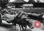 Image of public film production Japan, 1951, second 52 stock footage video 65675067547