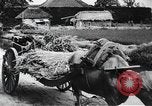 Image of public film production Japan, 1951, second 53 stock footage video 65675067547