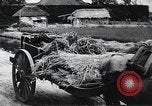 Image of public film production Japan, 1951, second 54 stock footage video 65675067547