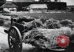 Image of public film production Japan, 1951, second 55 stock footage video 65675067547