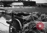 Image of public film production Japan, 1951, second 56 stock footage video 65675067547