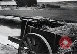 Image of public film production Japan, 1951, second 57 stock footage video 65675067547