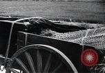 Image of public film production Japan, 1951, second 58 stock footage video 65675067547
