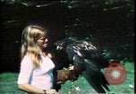 Image of American women United States USA, 1975, second 17 stock footage video 65675067548