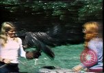 Image of American women United States USA, 1975, second 18 stock footage video 65675067548