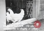Image l'amélioration des conditions de vie Japon, 1950, de la seconde 49 séquences d'archives historiques vidéo 65675067566