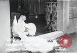 Image l'amélioration des conditions de vie Japon, 1950, de la seconde 52 séquences d'archives historiques vidéo 65675067566