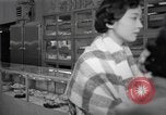 Standbild japanischen Braut Schule Japan, 1956, aus Sekunde 20 historischem Filmmaterial Videoclip 65675067572