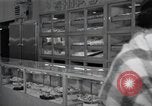 Standbild japanischen Braut Schule Japan, 1956, aus Sekunde 21 historischem Filmmaterial Videoclip 65675067572