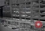 Standbild japanischen Braut Schule Japan, 1956, aus Sekunde 22 historischem Filmmaterial Videoclip 65675067572