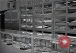 Standbild japanischen Braut Schule Japan, 1956, aus Sekunde 23 historischem Filmmaterial Videoclip 65675067572