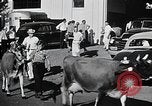 Image of Illinois State Fair scenes late 1940s Illinois United States USA, 1949, second 35 stock footage video 65675067577
