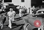 Image of Illinois State Fair scenes late 1940s Illinois United States USA, 1949, second 39 stock footage video 65675067577