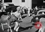 Image of Illinois State Fair scenes late 1940s Illinois United States USA, 1949, second 40 stock footage video 65675067577