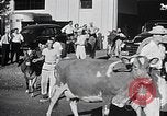 Image of Illinois State Fair scenes late 1940s Illinois United States USA, 1949, second 42 stock footage video 65675067577