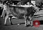 Image of Illinois State Fair scenes late 1940s Illinois United States USA, 1949, second 44 stock footage video 65675067577