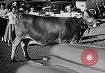 Image of Illinois State Fair scenes late 1940s Illinois United States USA, 1949, second 45 stock footage video 65675067577