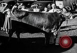 Image of Illinois State Fair scenes late 1940s Illinois United States USA, 1949, second 47 stock footage video 65675067577