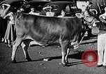 Image of Illinois State Fair scenes late 1940s Illinois United States USA, 1949, second 51 stock footage video 65675067577